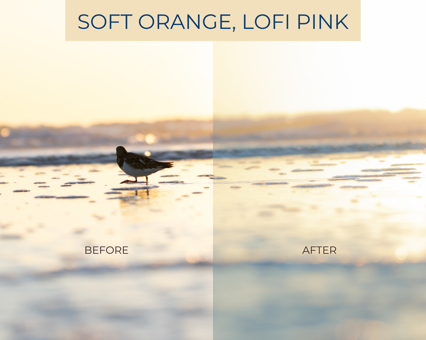SOFT SUNSET