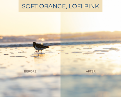 SOFT SUNSET