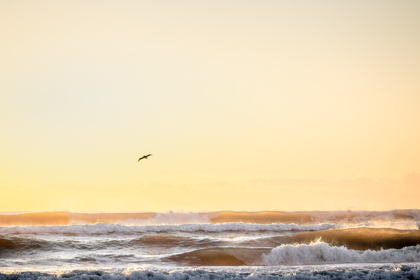 Main image GRADIENT