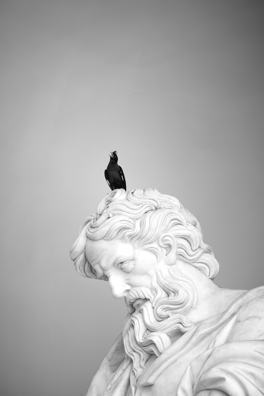 Fine Art Photography of marble statue with bird on head against gradient sky, Dual Quest Limited Edition balanced composition of symbolism and symmetry.